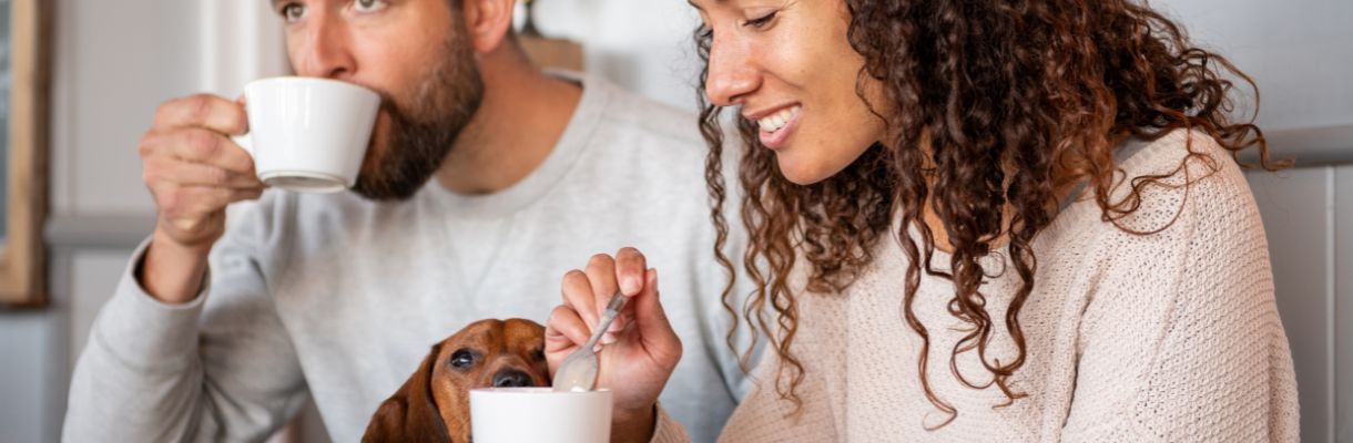 Couple having hot drinks with dog - Dog friendly holidays UK